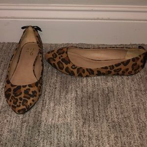 Leopard Flat
